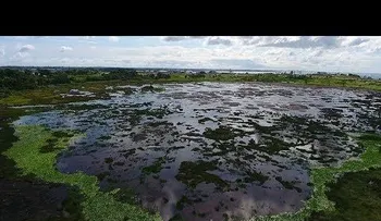 Un increíble lago que permite pavimentar las calles de todo el mundo