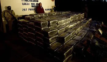 Hallan 2 toneladas en marihuana en escuela de samba de Brasil