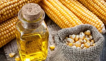 Aceite de maíz contra el colesterol