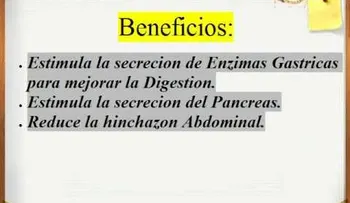 Beneficios del jengibre para la salud (Video)