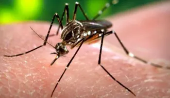 Este domingo realizan nueva jornada del plan contra el Zika, Dengue y Chikungunya