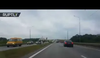 Camello se escapa de un circo y  crea un "lío" en el tránsito de una autopista 