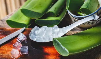 5 INCREÍBLES beneficios de consumir Aloe Vera en ayunas