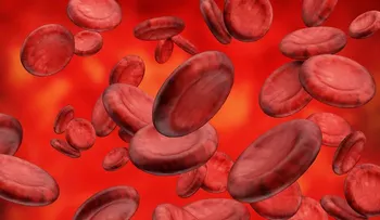 Dieta para depurar la sangre 