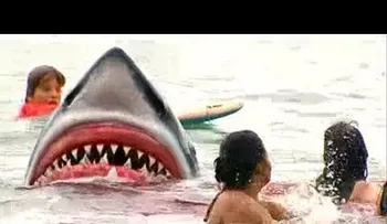 Atacados por un tiburón (VIDEO)