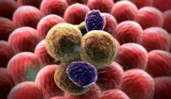 Nanopartículas de la Antártida servirían para marcar células tumorales