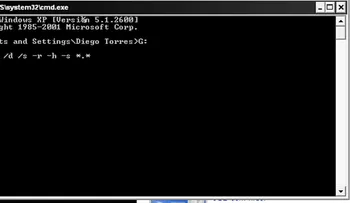 Eliminar virus acceso directo