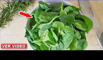 Espinacas y sus sorprendentes beneficios para la salud