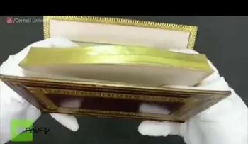La increíble pintura oculta en un antiguo libro