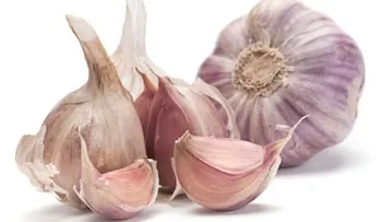Un trocito de ajo para los parásitos y eliminar el colesterol