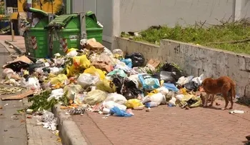 Perro casi se come feto humano que halló en basurero