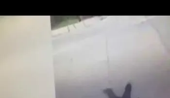 Matan de un tiro en la cabeza juez que atendió el caso del "El Chapo" Guzmán (FUERTE VIDEO)