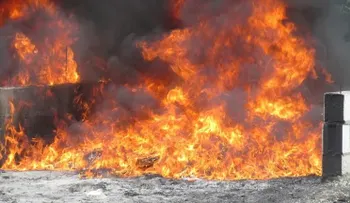 Procuraduría incinera más de una tonelada de drogas