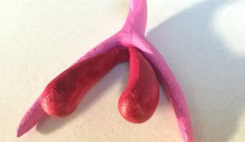Mujer debes leer esto sobre tu clítoris que no sabías 