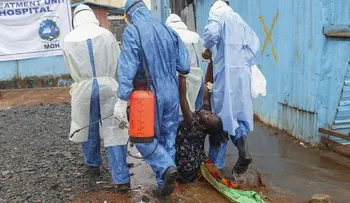 OMS pide mantener esfuerzos contra ébola pese asesinato educadores en Guinea.