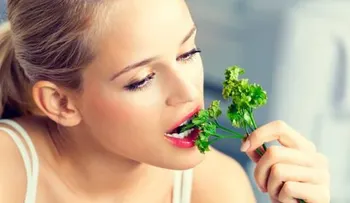 El cilantro ancho para curar la halitosis o mal aliento