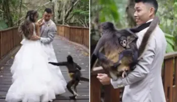 Visita una pareja de novio sin permiso, pero no amenazó a ninguno de ellos 