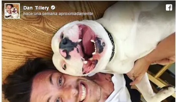 Sacrificarían a un perro porque su imagen se hace viral
