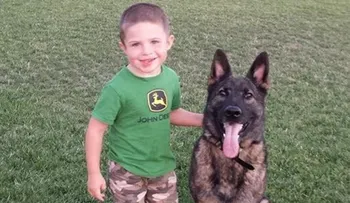 La familia de este perro lo esperaba en Kansas, pero United lo envió al otro lado del mundo