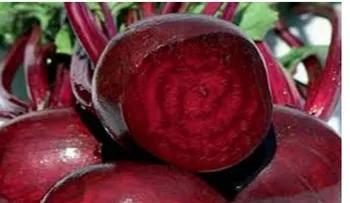 Remolacha: Visión Nítida, Colon Sano y Figura Esbelta