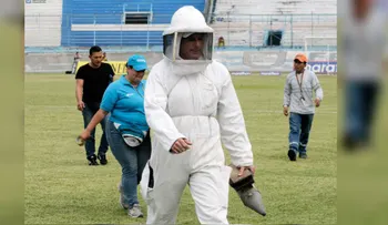 Por ataque de abejas cancelaron partido de fútbol ecuatoriano