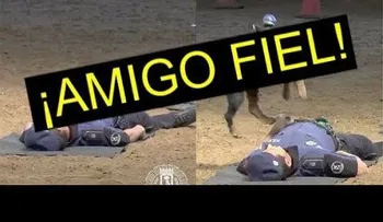 Un perro "salva" agente PN al hacerle reanimación cardiopulmonar
