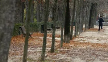 Los humanos son cada vez más insensibles a contenidos violentos o sexuales