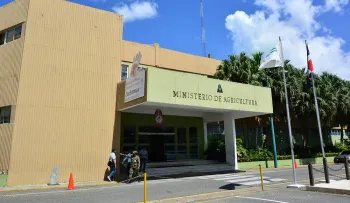Dirección de Ganadería niega hayan muerto 2 mil cerdos en Hato Mayor