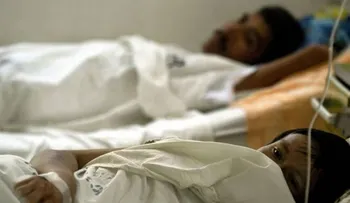 Detectan en Brasil mutaciones genéticas inéditas en virus de fiebre amarilla