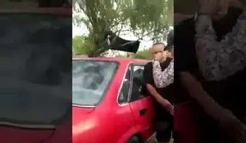 IMAGENES SENSIBLES: (+18): Así castigan en México a quienes no pagan a los narcos (VIDEO)
