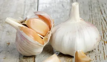 Las increíbles propiedades del té de ajo; cómo prepararlo