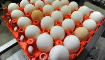 Bajos niveles de vitamina D aumentan riesgo cardiovascular