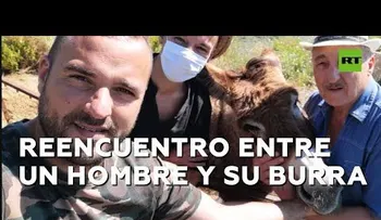  El reencuentro con su burra tras dos meses de confinamiento