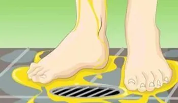 Esta es la razón por la que siempre debes orinar en la ducha. Que nadie te diga lo contario