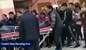 Un menor de 13 años le quita la vida a su madre porque le mató su perro