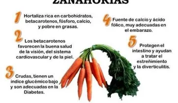  Las zanahorias son una mina de oro en nutrientes; sirven para tratar la ceguera nocturna y la fotofobia.