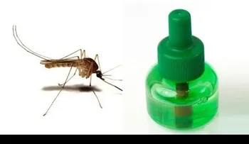 Cómo preparar repelente de Mosquitos contra el ZIKA, DENGUE y CHICUNGUYA  (VIDEO)