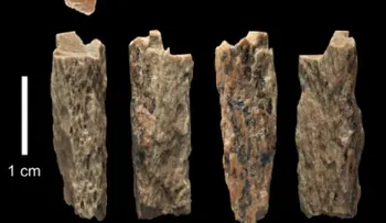 Hallan por primera vez restos de un niño nacido de dos especies humanas diferentes 