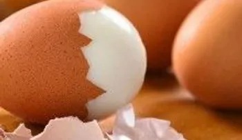 Esto es lo que le pasa cuando comes huevos