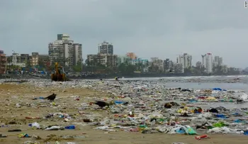 De asquerosa a fabulosa: la playa de la India que tuvo una transformación dramática