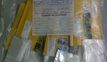 Decomisan sobres llenos de cocaína que serían enviados por correo
