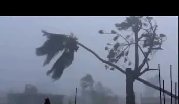 Observa cómo el huracán Matthew atacó en Haití