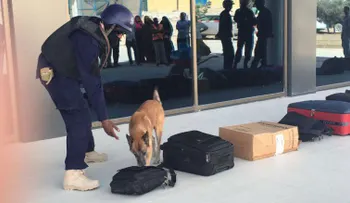 Sofisticada bomba que explotó en avión somalí pasó por rayos X
