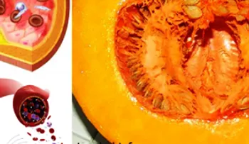 Este secreto te permitirá acabar para siempre con el colesterol, glucosa, lípidos y triglicéridos