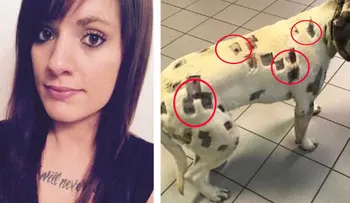 Pensó que eran picaduras de insectos, pero el veterinario le dijo que llamara a la policía