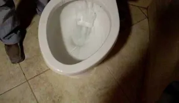 Después de leerlo nunca más descargará el baño con la tapa abierta 