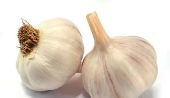 10 antibióticos que no requieren prescripción