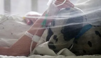 Brasil confirma 134 casos de microcefalia causados por el virus del Zika