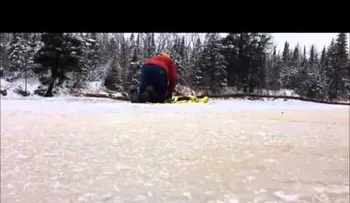 Un hombre salva a un ciervo de un río congelado