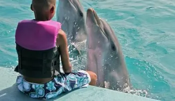 Terapia con delfines para tratar a niños con síndrome de Down
